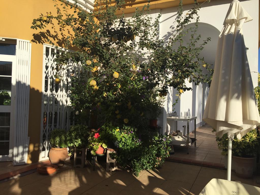 Hotel Arco Del Sol โกลเมนาร์ ภายนอก รูปภาพ